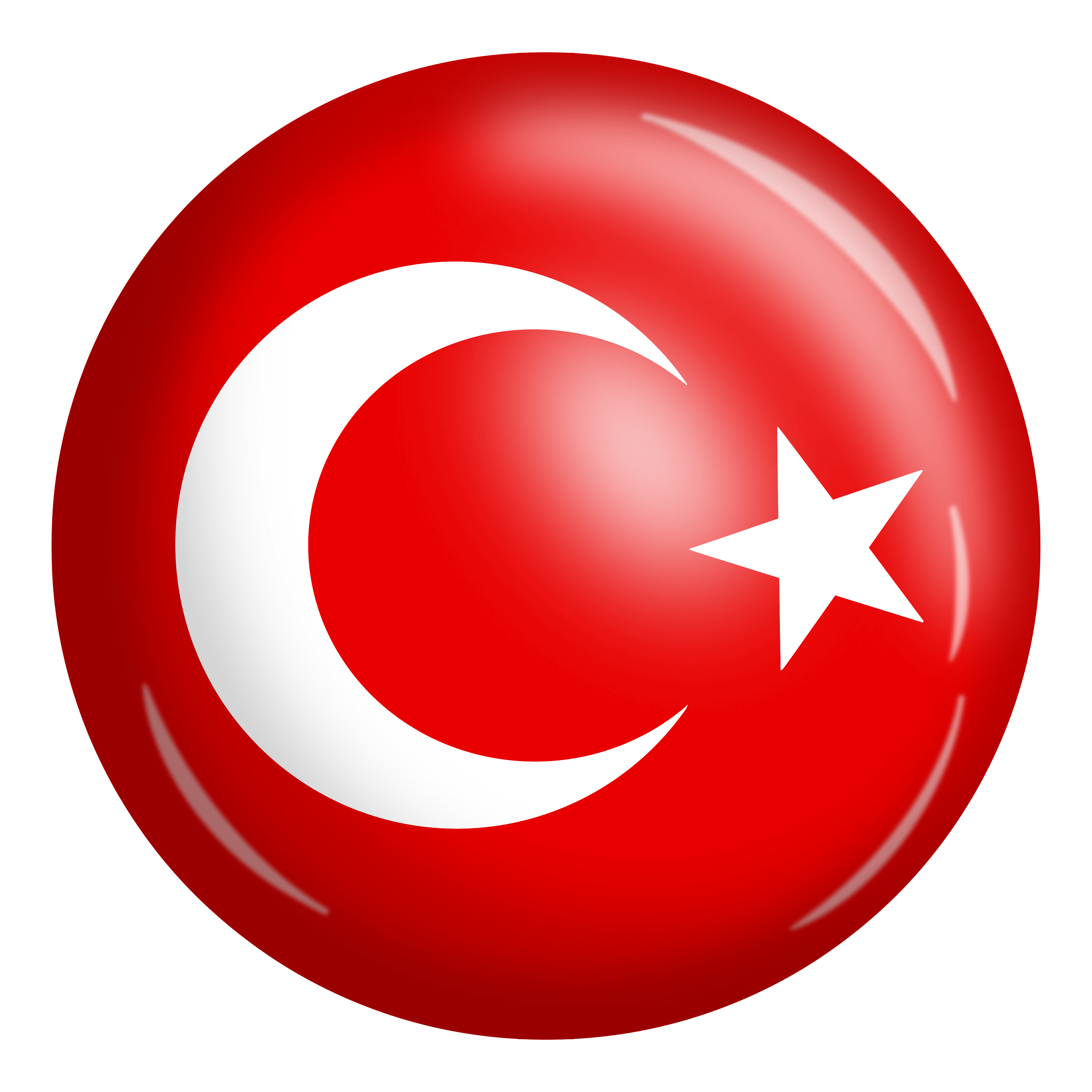 Türkçe